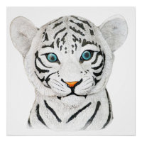 Niedlicher weißer Tiger mit blauen Augen