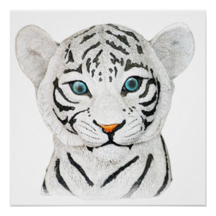 Niedlicher weißer Tiger mit blauen Augen Poster