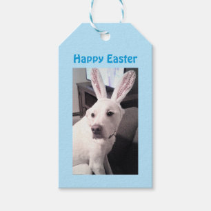 Niedlicher weißer Welpenhund mit Ostersonnigen Ohr Geschenkanhänger