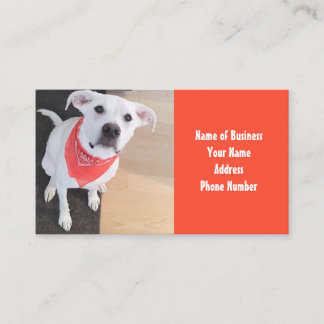 Niedlicher weißer Welpenhund mit Scarf Orange Visitenkarte