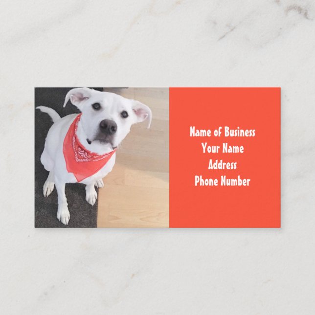 Niedlicher weißer Welpenhund mit Scarf Orange Visitenkarte (Vorderseite)