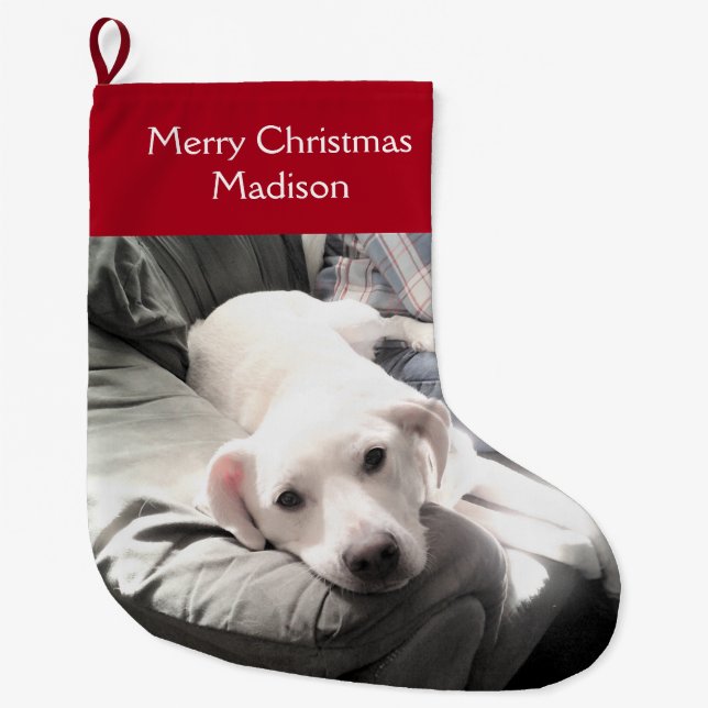 Niedlicher weißer Welpenhund mit Vater auf Couch R Großer Weihnachtsstrumpf (Vorderseite)