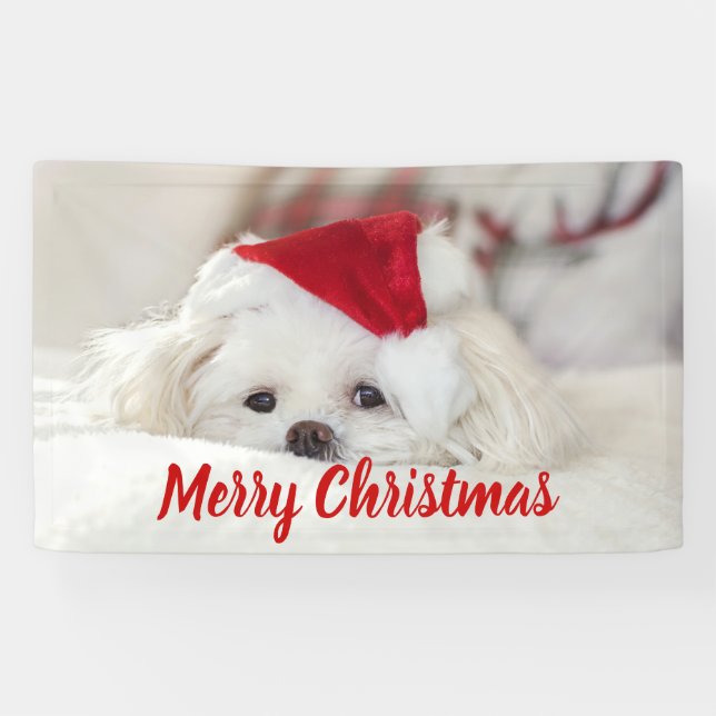 Niedlicher Weißhund in einem Red Christmas Hat Banner (Horizontal)