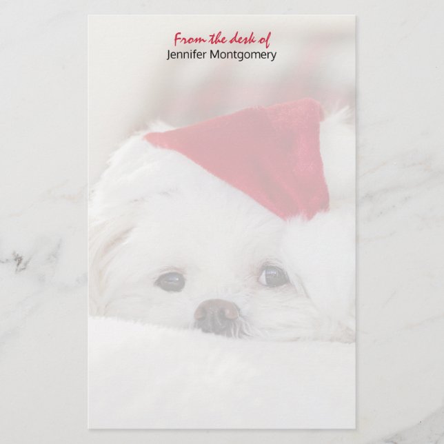 Niedlicher Weißhund in einem Red Christmas Hat Briefpapier (Vorderseite)