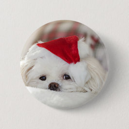 Niedlicher Weißhund in einem Red Christmas Hat Button