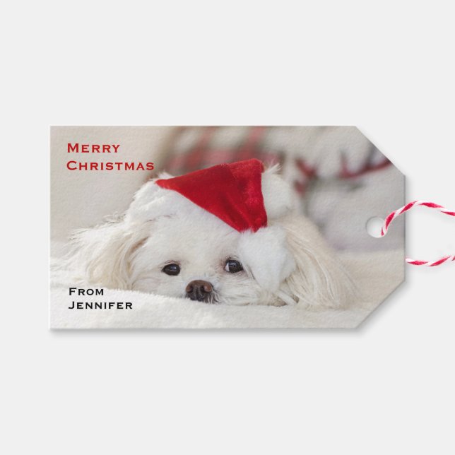 Niedlicher Weißhund in einem Red Christmas Hat Geschenkanhänger (Vorderseite (Horizontal))