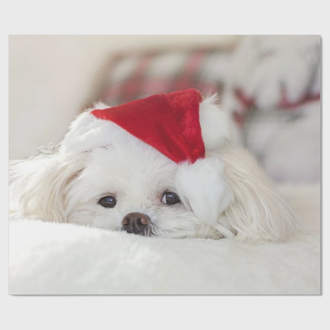 Niedlicher Weißhund in einem Red Christmas Hat Geschenkpapier (Flach)