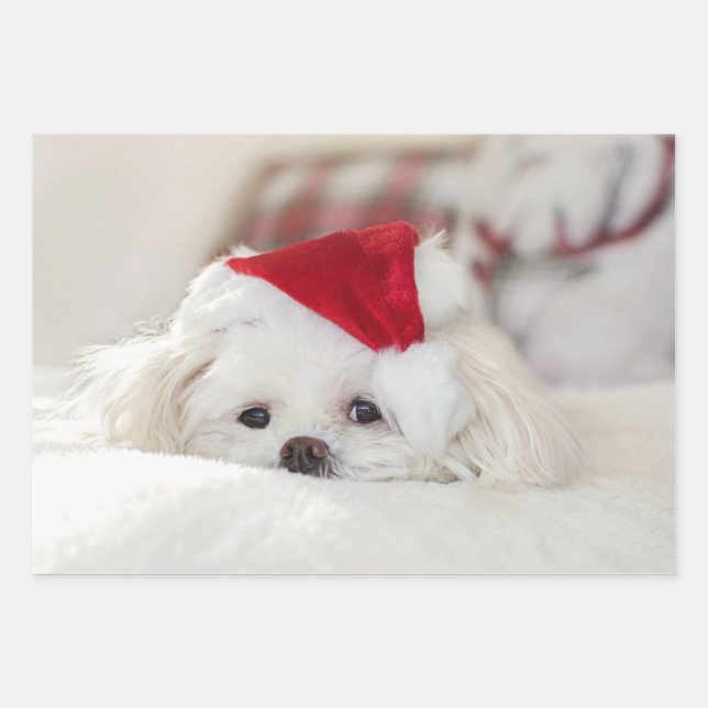Niedlicher Weißhund in einem Red Christmas Hat Geschenkpapier Set (Vorderseite)