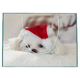Niedlicher Weißhund in einem Red Christmas Hat Große Geschenktüte
