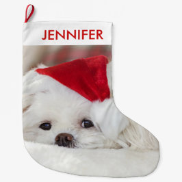 Niedlicher Weißhund in einem Red Christmas Hat Großer Weihnachtsstrumpf