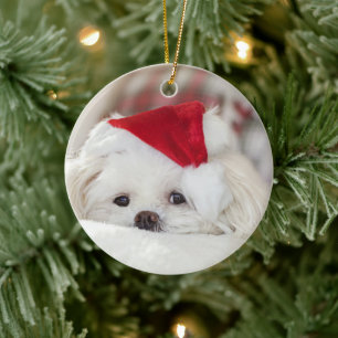 Niedlicher Weißhund in einem Red Christmas Hat Keramik Ornament