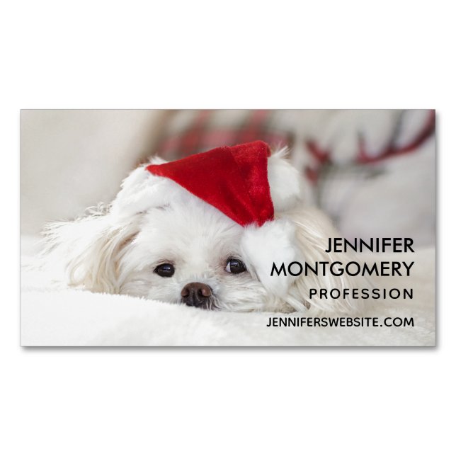 Niedlicher Weißhund in einem Red Christmas Hat Magnetische Visitenkarte (Vorderseite)