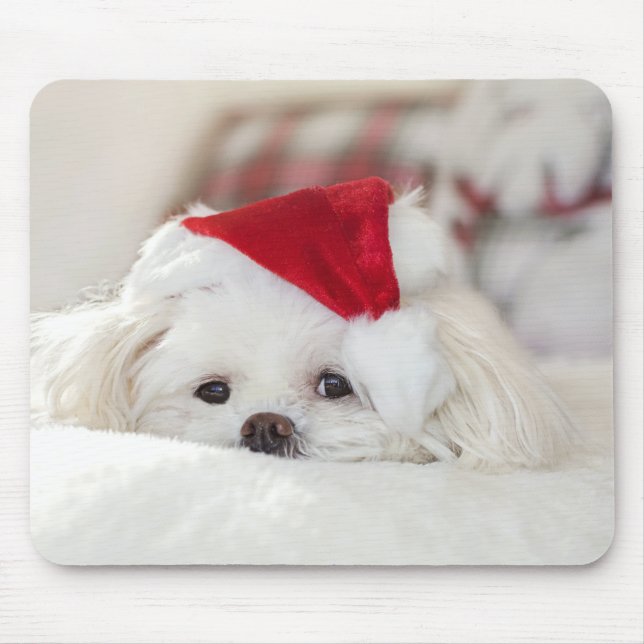 Niedlicher Weißhund in einem Red Christmas Hat Mousepad (Vorne)