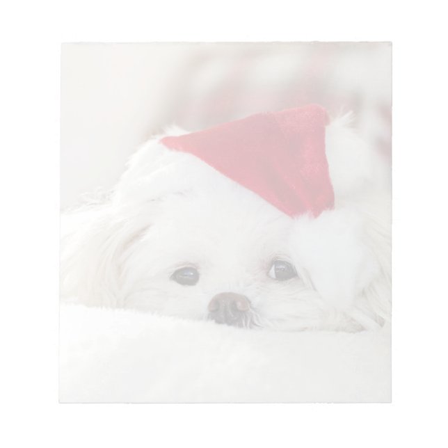 Niedlicher Weißhund in einem Red Christmas Hat Notizblock (Vorderseite)