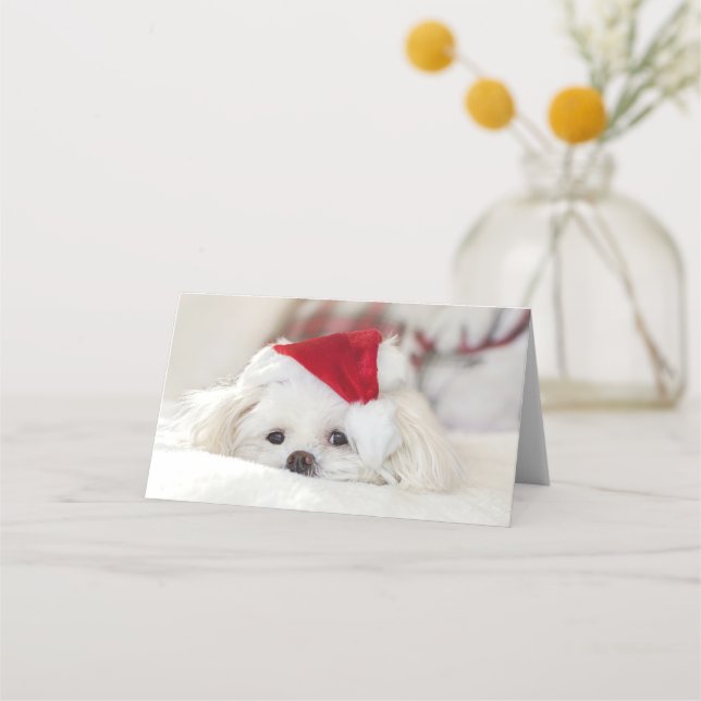 Niedlicher Weißhund in einem Red Christmas Hat Platzkarte (Vorderseite)