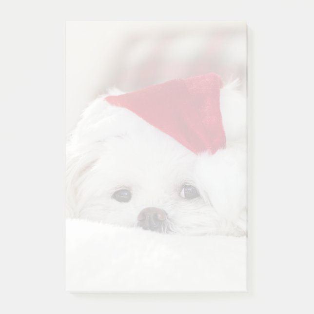 Niedlicher Weißhund in einem Red Christmas Hat Post-it Klebezettel (Vorderseite)
