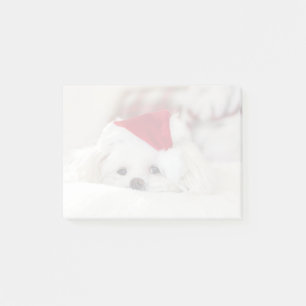 Niedlicher Weißhund in einem Red Christmas Hat Post-it Klebezettel