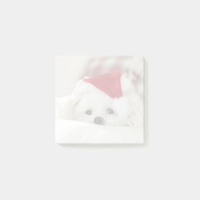 Niedlicher Weißhund in einem Red Christmas Hat Post-it Klebezettel (Vorderseite)