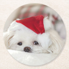 Niedlicher Weißhund in einem Red Christmas Hat Runder Pappuntersetzer