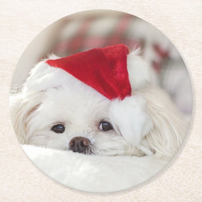 Niedlicher Weißhund in einem Red Christmas Hat Runder Pappuntersetzer (Vorderseite)