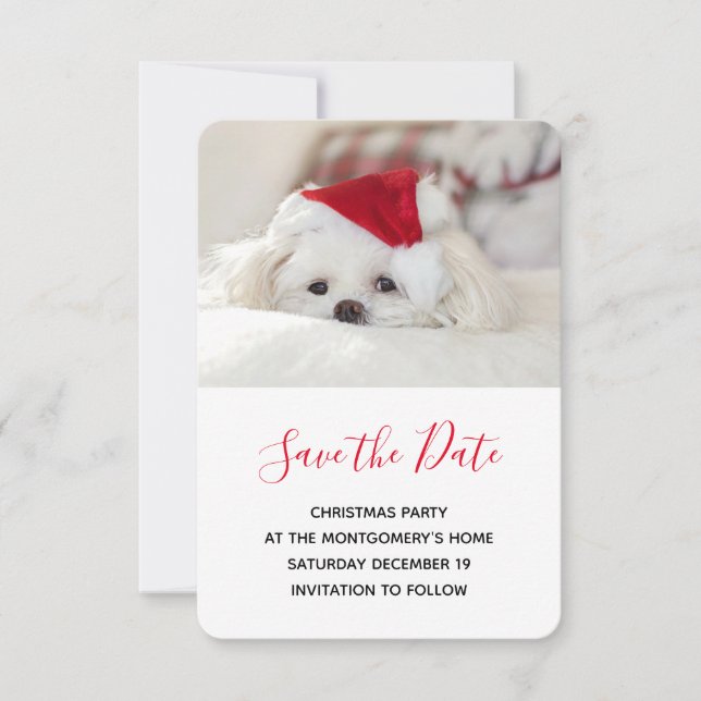 Niedlicher Weißhund in einem Red Christmas Hat Save The Date (Vorderseite)