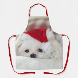 Niedlicher Weißhund in einem Red Christmas Hat Schürze