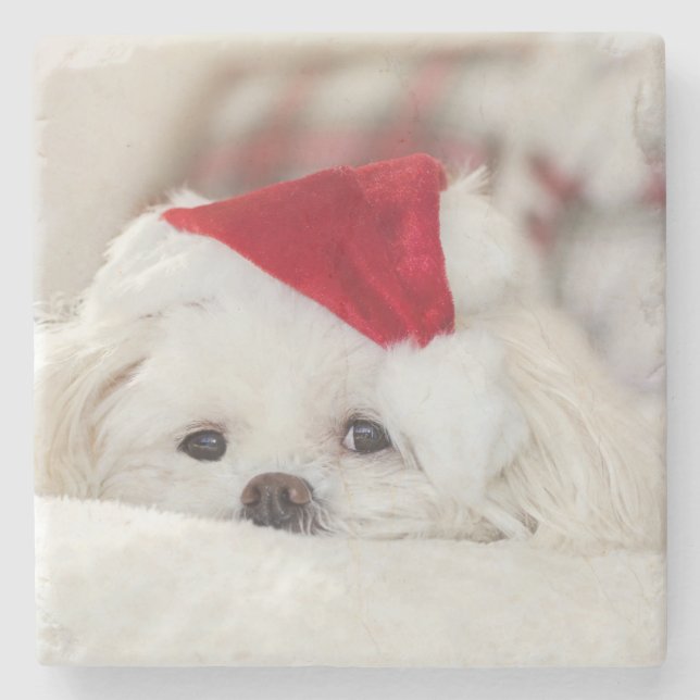 Niedlicher Weißhund in einem Red Christmas Hat Steinuntersetzer (Vorderseite)