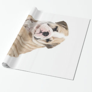 Niedlicher Welpe Bulldog Sad Geschenkpapier