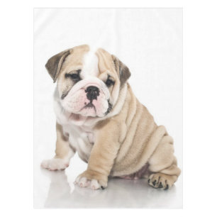Niedlicher Welpe Bulldog Sad Tischdecke