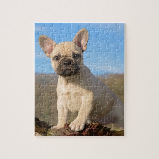 Niedlicher Welpe der französischen Bulldogge (Vertikal)