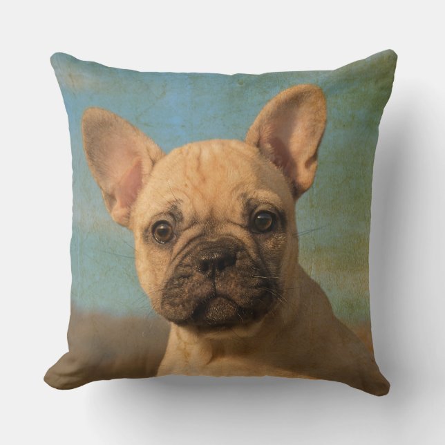 Niedlicher Welpe der französischen Bulldogge, Kissen (Vorderseite)