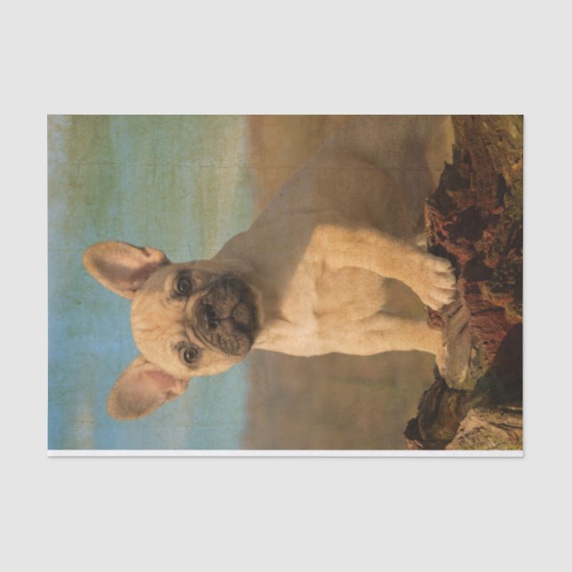 Niedlicher Welpe der französischen Bulldogge, Seidenpapier (Vorderseite)