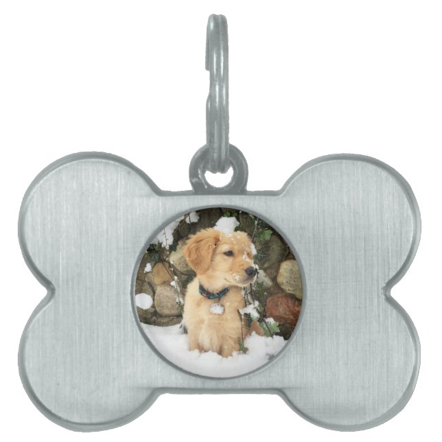 Niedlicher Welpe-gelbe Labrador-Golden Retriever Tiermarke (Vorderseite)