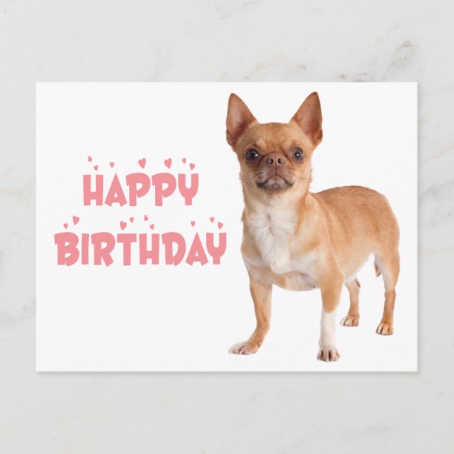 Niedlicher Welpe Hund Bday Funny Chihuahua Geburts Postkarte (Vorderseite)