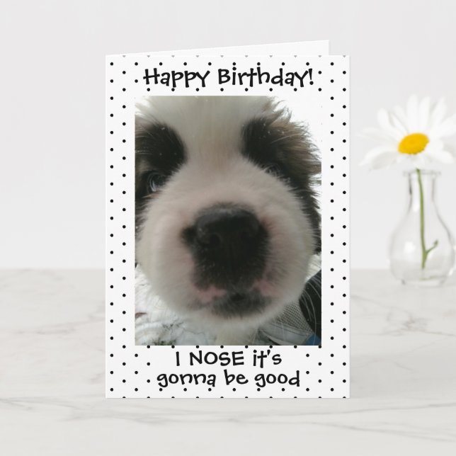 Niedlicher Welpe ich Nase seinen Geburtstag Polka  Karte (Kleine Pflanze)