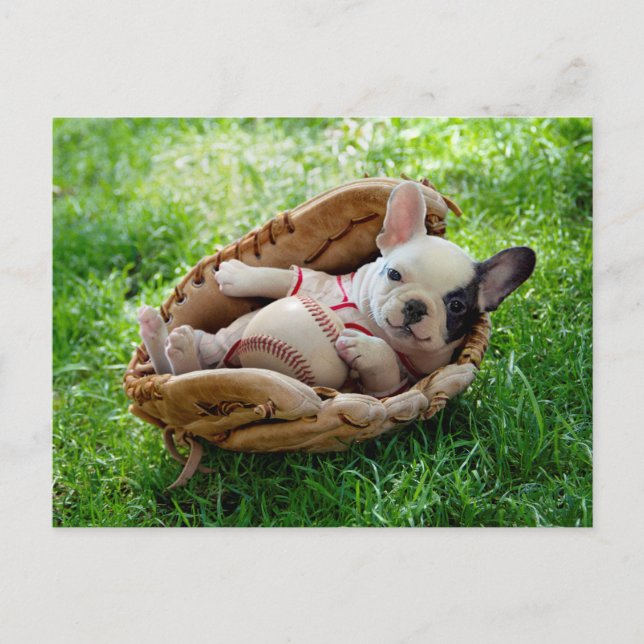 Niedlicher Welpe im Baseball-Mitt Postkarte (Vorderseite)