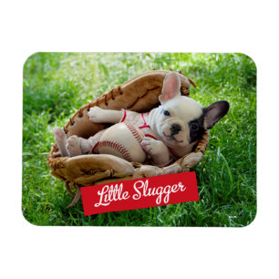 Niedlicher Welpe in einem Baseball-Mitt Magnet