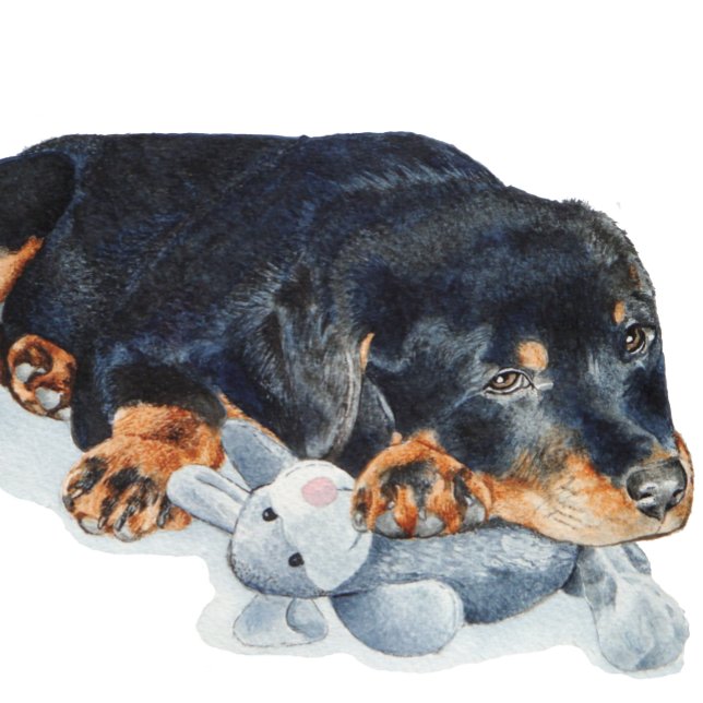 niedlicher Welpe-Rottweiler-Kuschelbär (Von Creator hochgeladen)