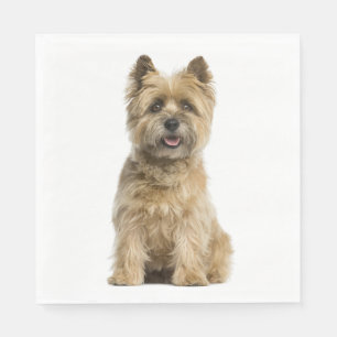 Niedlicher Welpen Hund Lover Party Cairn Terrier G Serviette
