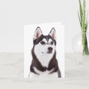 Niedlicher Welpen-Hund Lover Siberian Husky Hallo- Karte
