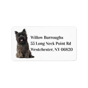 Niedlicher Welpen-Hund mit schwarzem Cairn-Terrier Adressaufkleber