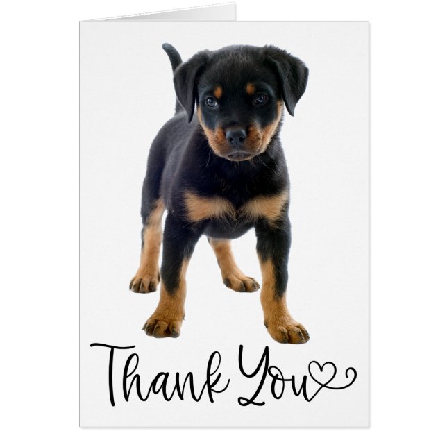 Niedlicher Welpen Hund Rottweiler Vielen Dank (Vorne)