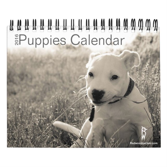 Niedlicher Welpen-Kalender 2016 Kalender (Titelbild)