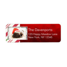 Niedlicher Welpen-Mops in einer Roten Weihnachtsma