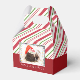 Niedlicher Welpen-Mops in einer Roten Weihnachtsma Geschenkschachtel