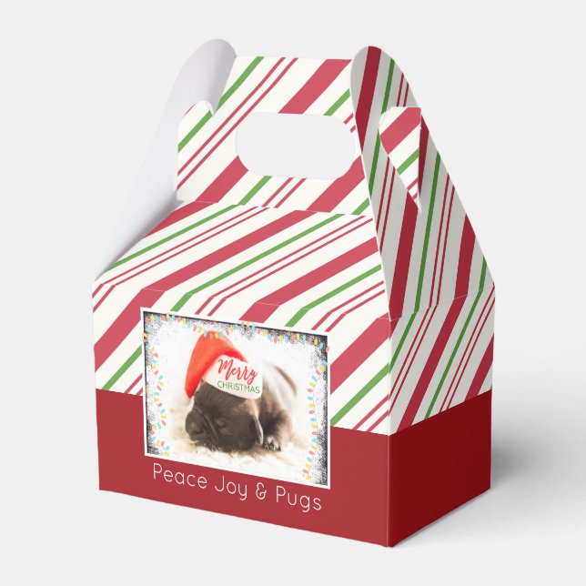 Niedlicher Welpen-Mops in einer Roten Weihnachtsma Geschenkschachtel (Vorderseite)