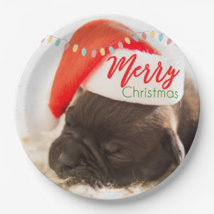 Niedlicher Welpen-Mops in einer Roten Weihnachtsma Pappteller