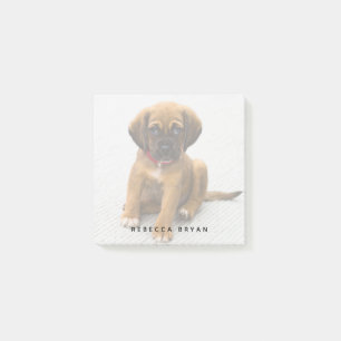 Niedlicher Welpen Personalisierter Hund Lover Foto Post-it Klebezettel