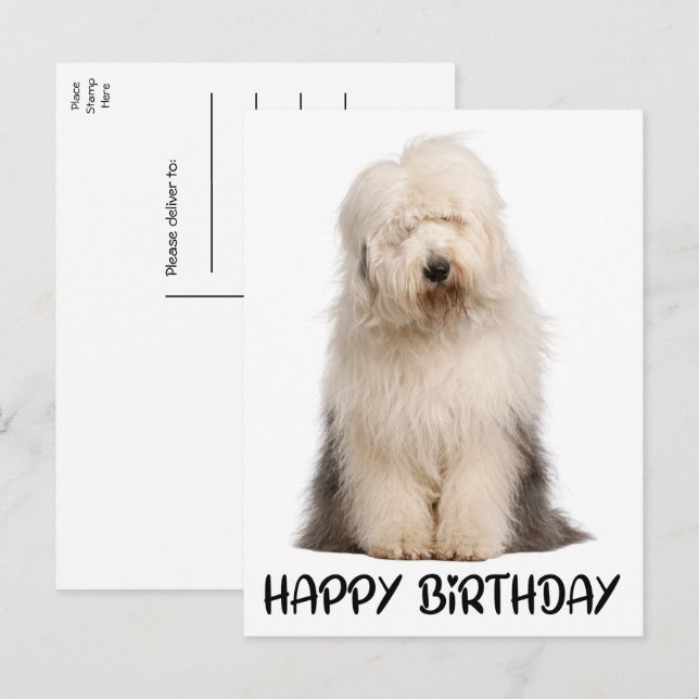 Niedlicher Welpenhund Altes Englisch Schafhund Geb Postkarte (Vorne/Hinten)