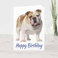 Niedlicher Welpenhund English Bulldog zum Geburtst